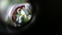 DSC_0094.JPG