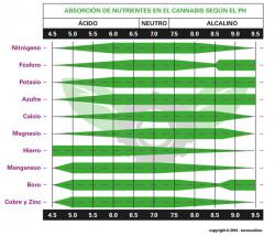 Tabla-absorcion-nutrientes-marihuana-segun-el-ph-del-agua.thumb.jpg.948e369048e5cbab485c3cf678c482a2.jpg