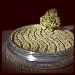 kief.jpg