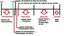 Tabla-de-cultivo-nuestra1.thumb.jpg.ef2acee14edc168a8b153f8a8a1a3ea7.jpg