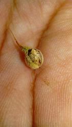 IMG_20170323_121419.jpg