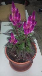 20170614_225602.jpg