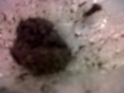 doble0000.thumb.jpg.fe8587746e5ed937e08e3e41c4fe596d.jpg