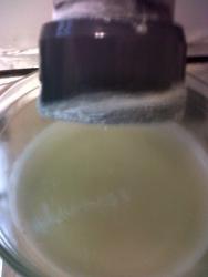 IMG-20170206-00835.thumb.jpg.efe0d2722d7a63eaddac556bd6b1800c.jpg