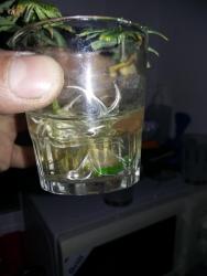 20171114_194004.jpg