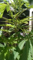 IMG_20171106_112520432.jpg