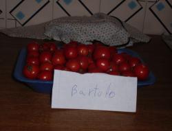cosecha_tomates.thumb.jpg.5beea5c9b20257b2763cbd4ab129c09a.jpg