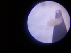 20180131_213817.jpg