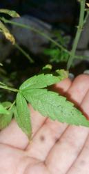 20180427_142348.jpg