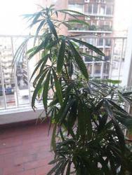 20180412_180457[1]_opt.jpg