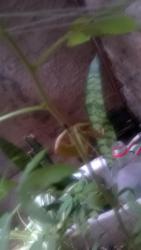 WP_20150114_009.jpg