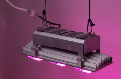 a.png