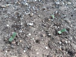 20180519_111053.jpg