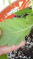 20180615_103902.jpg