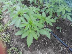 20180617_100840.jpg