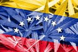 depositphotos_68235351-stock-photo-venezuela-flag-on-cannabis-background[1].jpg