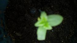 IMG_20180621_172458.jpg