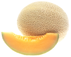 cantaloup.thumb.png.611ad690b6b4dd0dc079631069f9f529.png