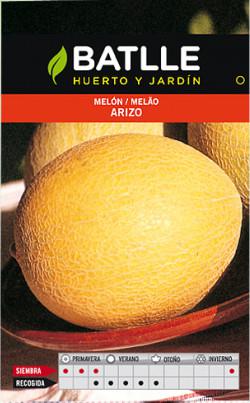 melon-arizo.jpg.db0d32c90b22b4cbd6d3b85dd2769a03.jpg