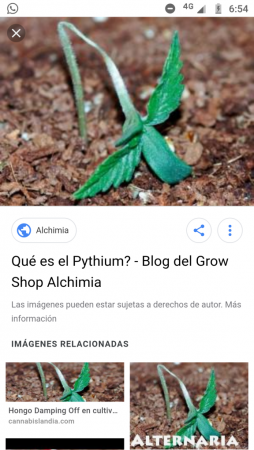 Screenshot_20190525-185436.png