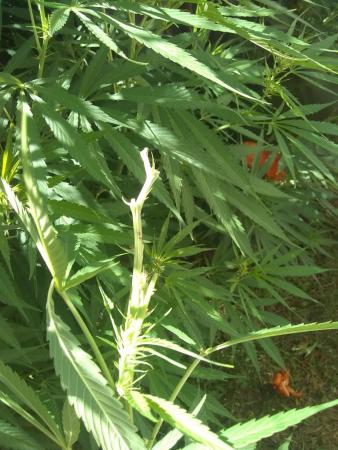 IMG_20200220_122212718.jpg