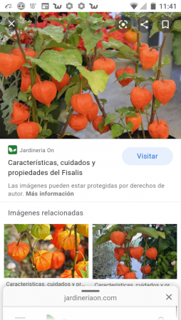 Screenshot_20200618-114153.thumb.png.efe1b39f0bfe625fa504831d329f9128.png