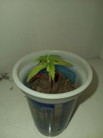 20201108_102735.jpg