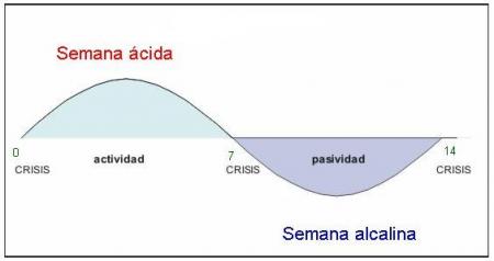 ext95.thumb.jpg.4ec0aba80be230e51e0b53c7ba2315c3.jpg
